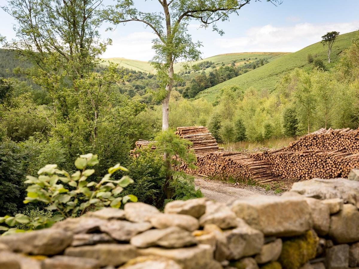 Red Kite Barn - Charming Boutique Barn Conversion Newbridge on Wye Esterno foto